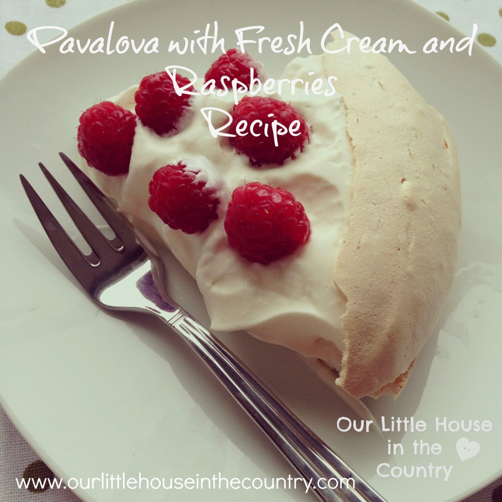 Pavalova with Fresh Cream and Raspberries ( and a new direction for our little blog)